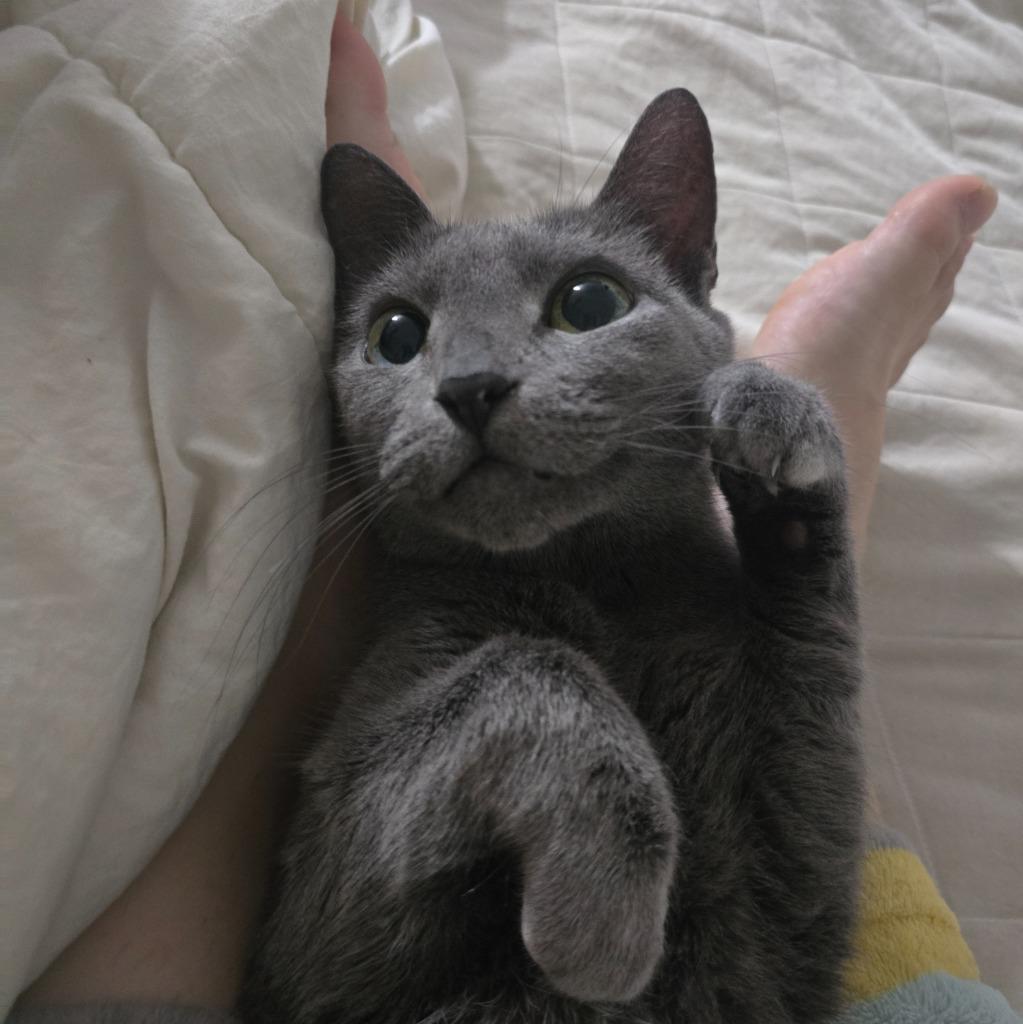 이미지