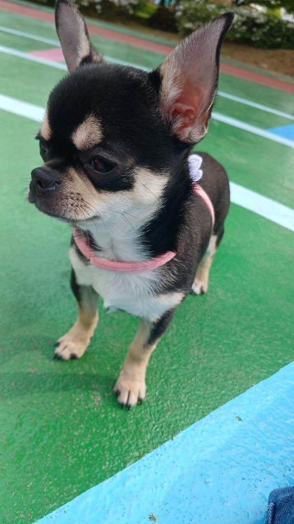 이미지