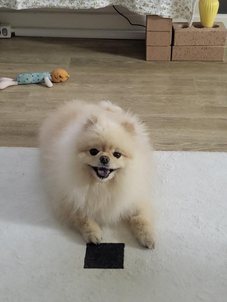 이미지