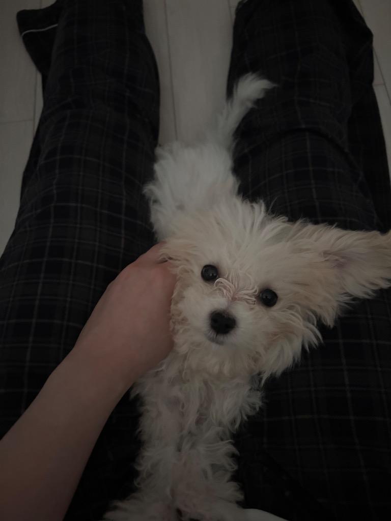 이미지