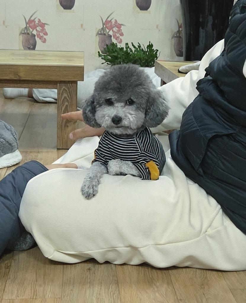 이미지