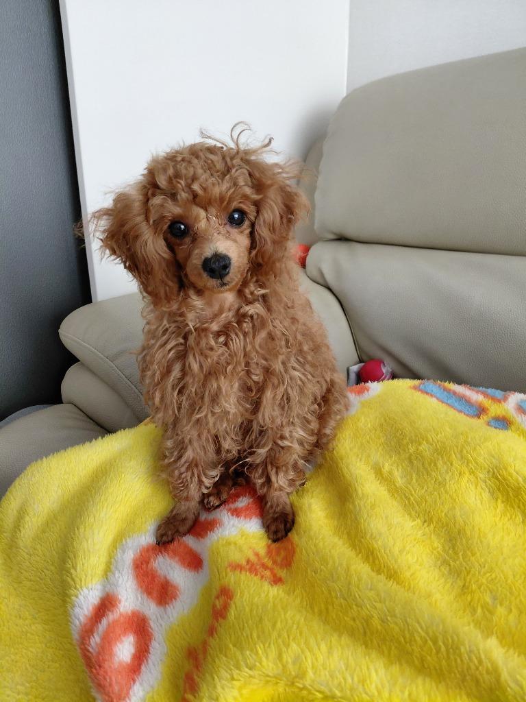 이미지