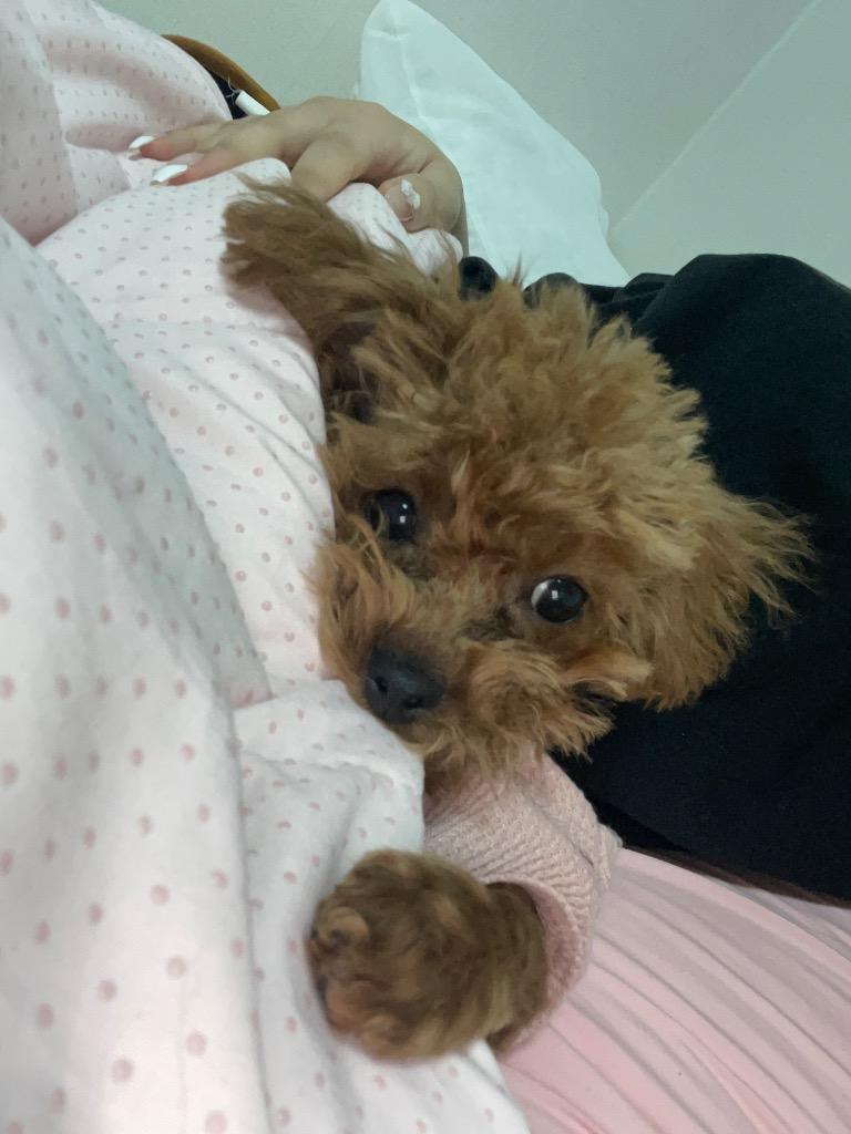 이미지