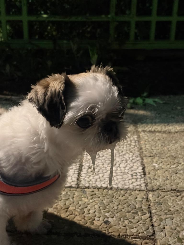 이미지