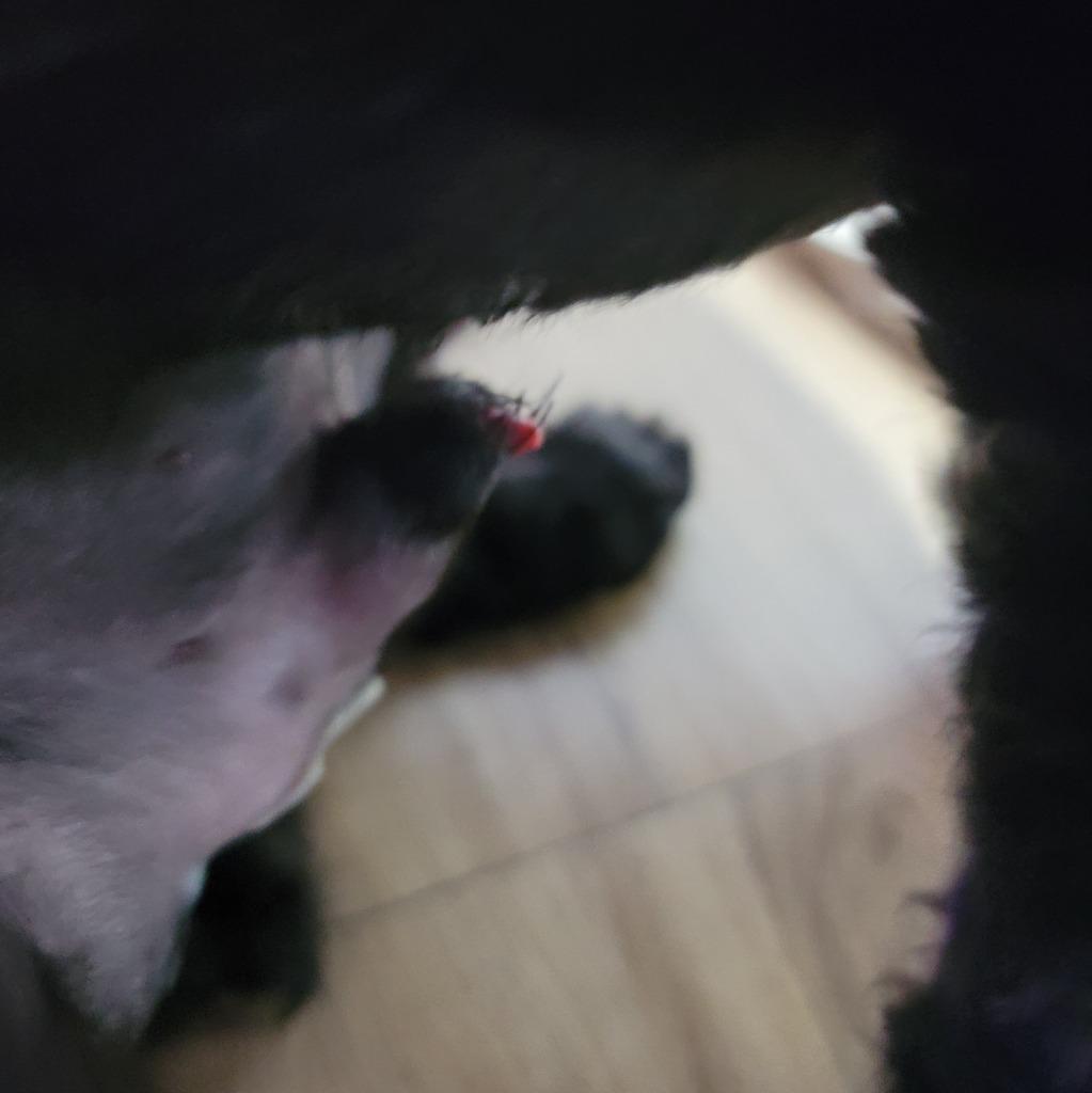 이미지