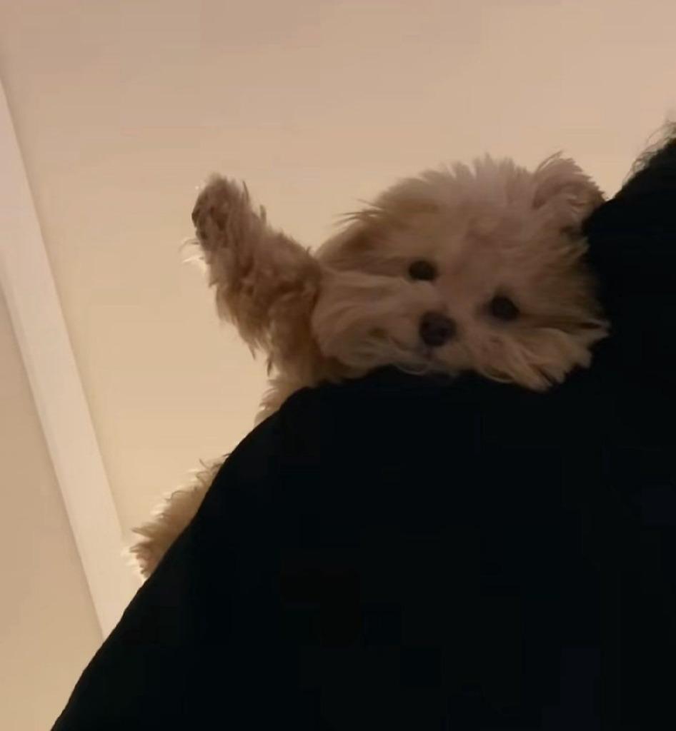이미지