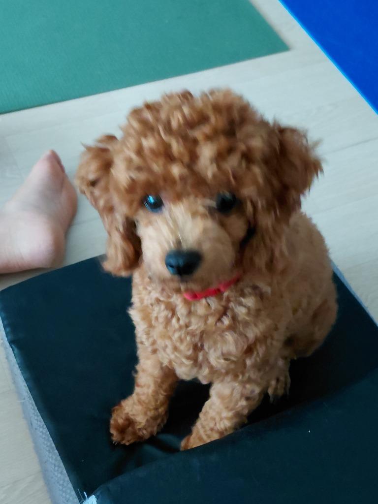 이미지