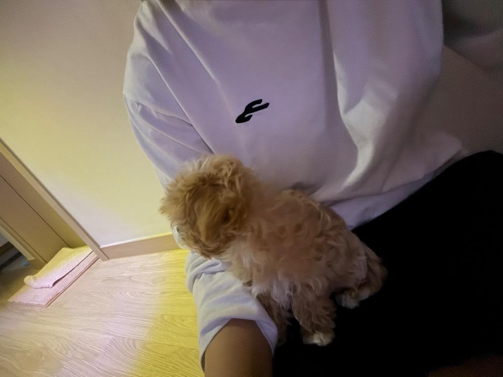이미지