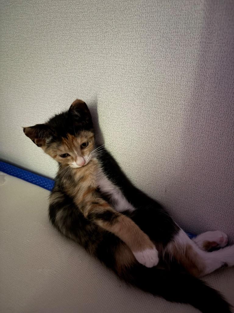 이미지