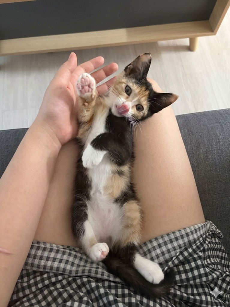 이미지