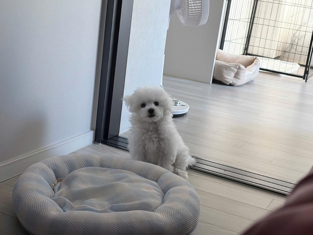이미지