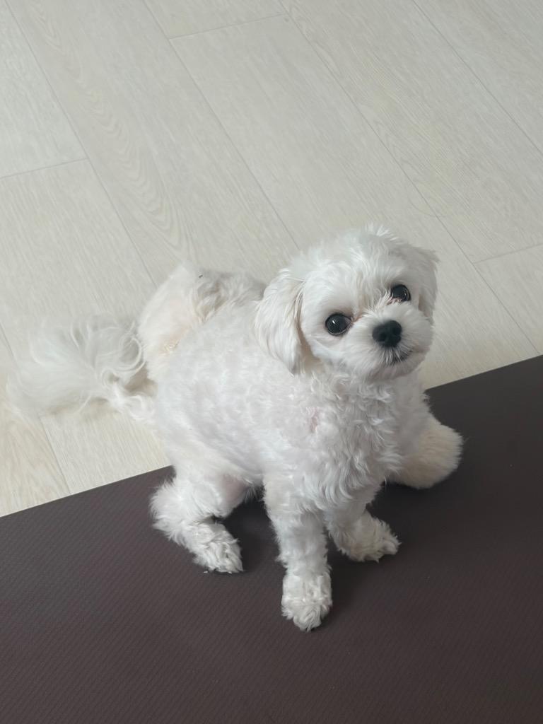 이미지