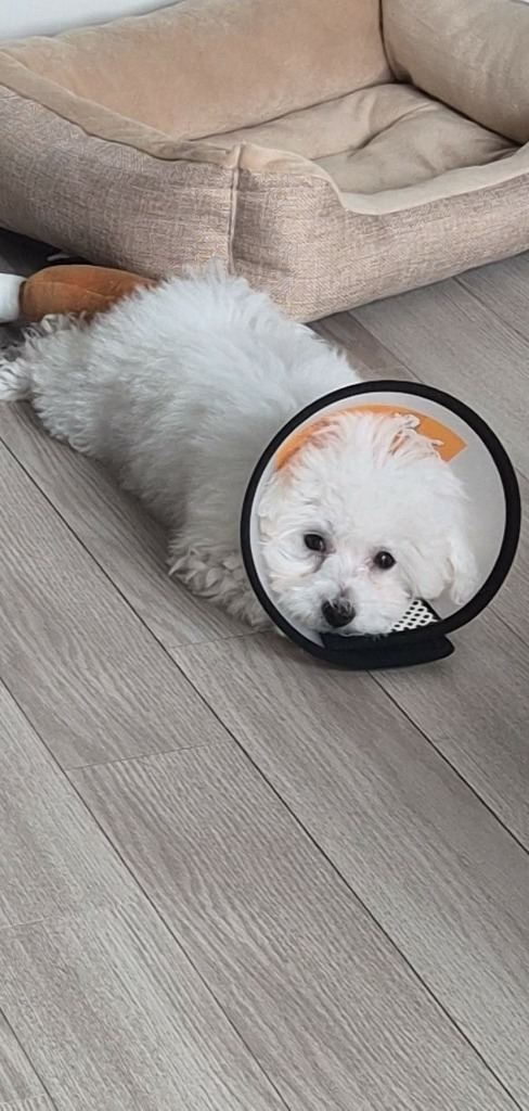 이미지