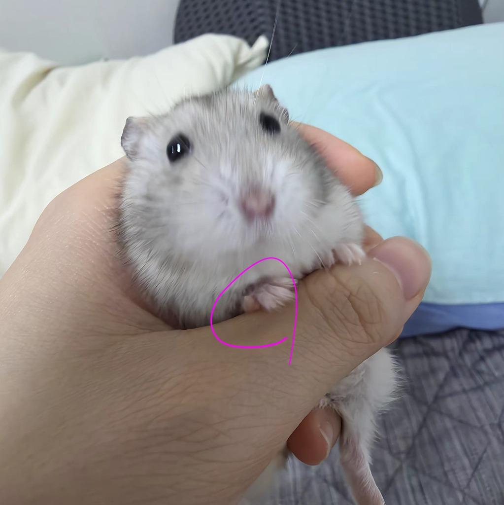 이미지