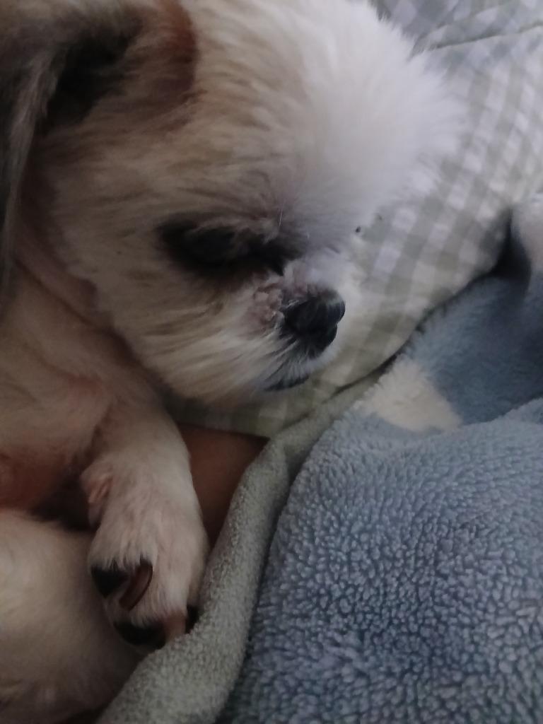 이미지