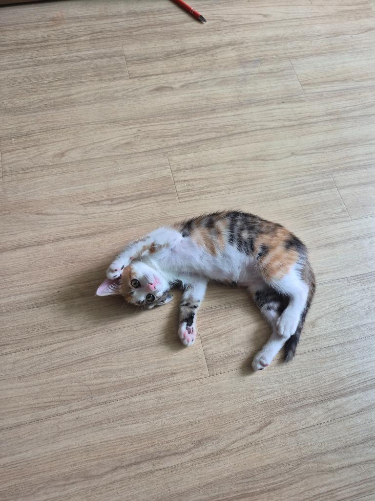 이미지