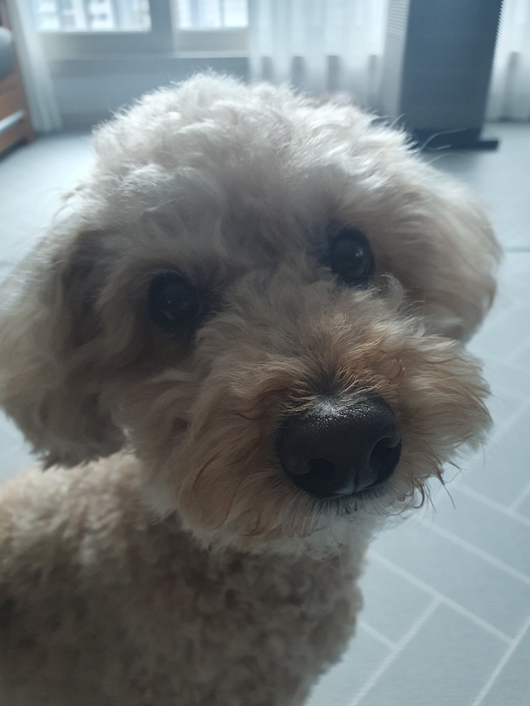 프로필 이미지