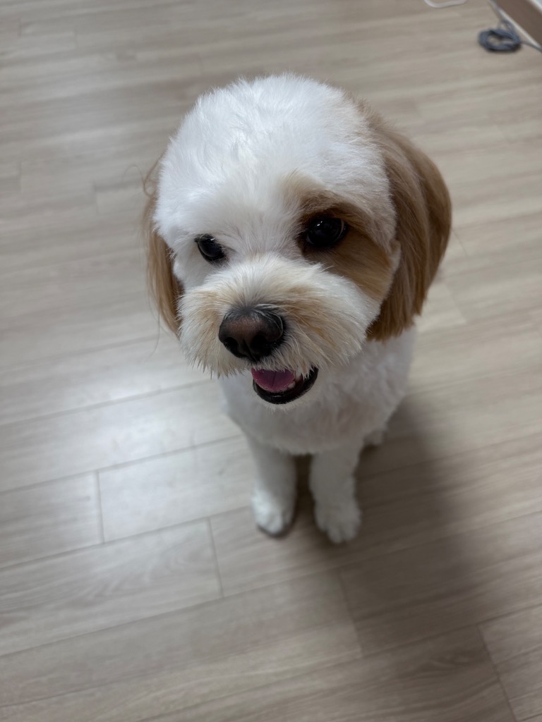 프로필 이미지