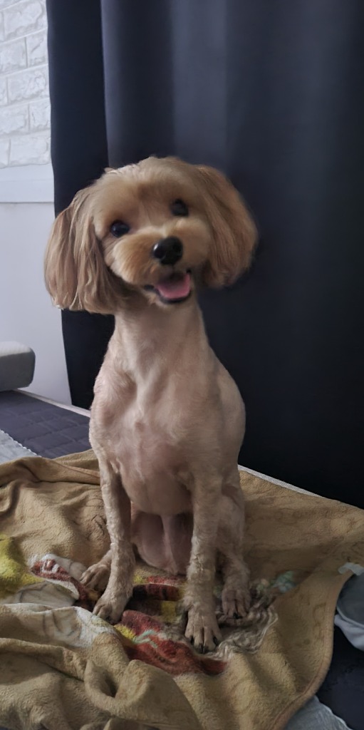 프로필 이미지