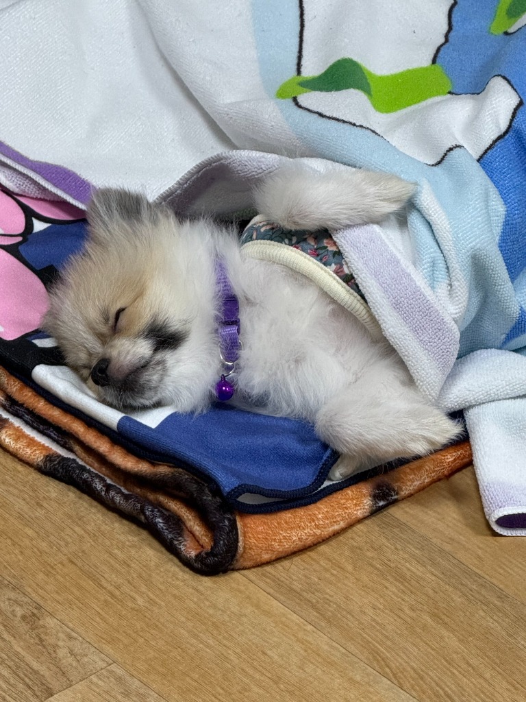 프로필 이미지