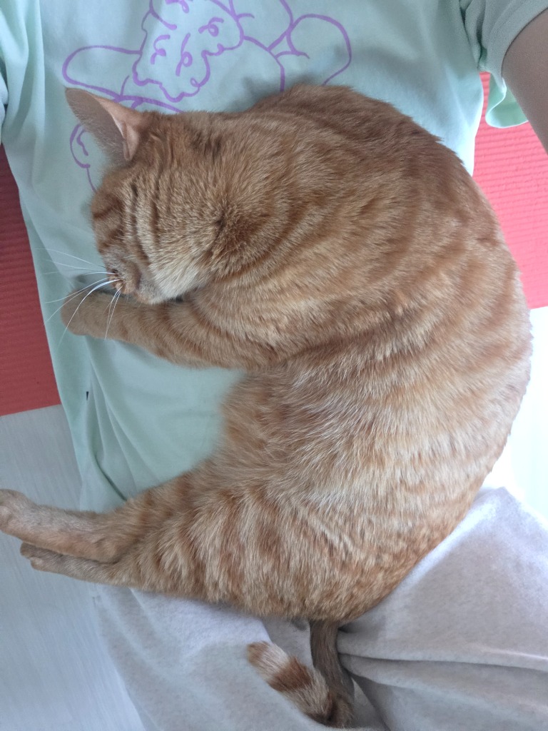 프로필 이미지