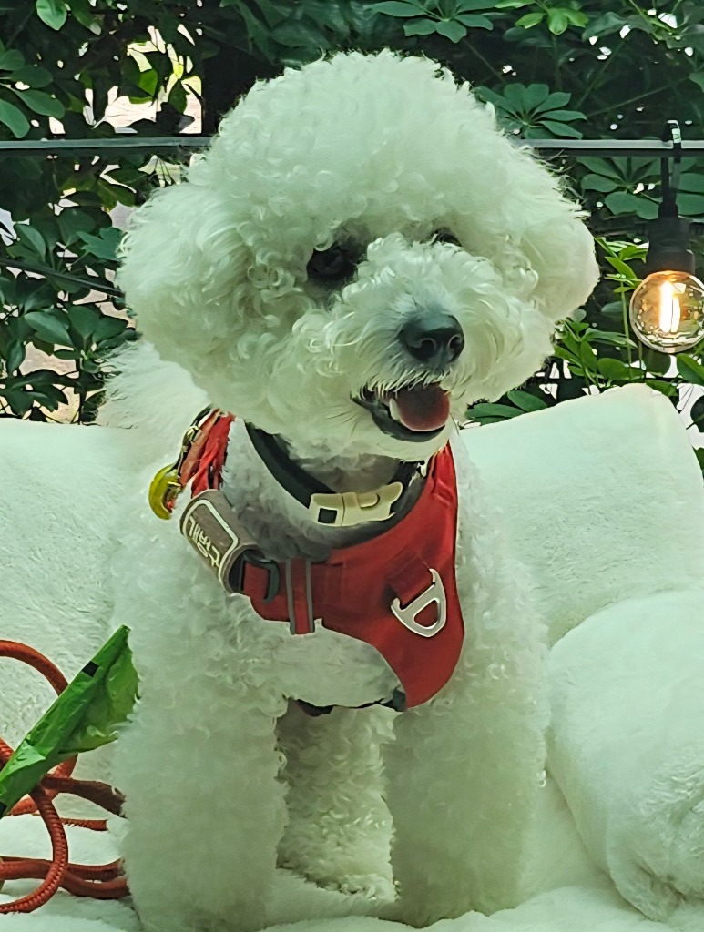 프로필 이미지