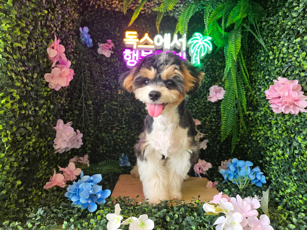 프로필 이미지