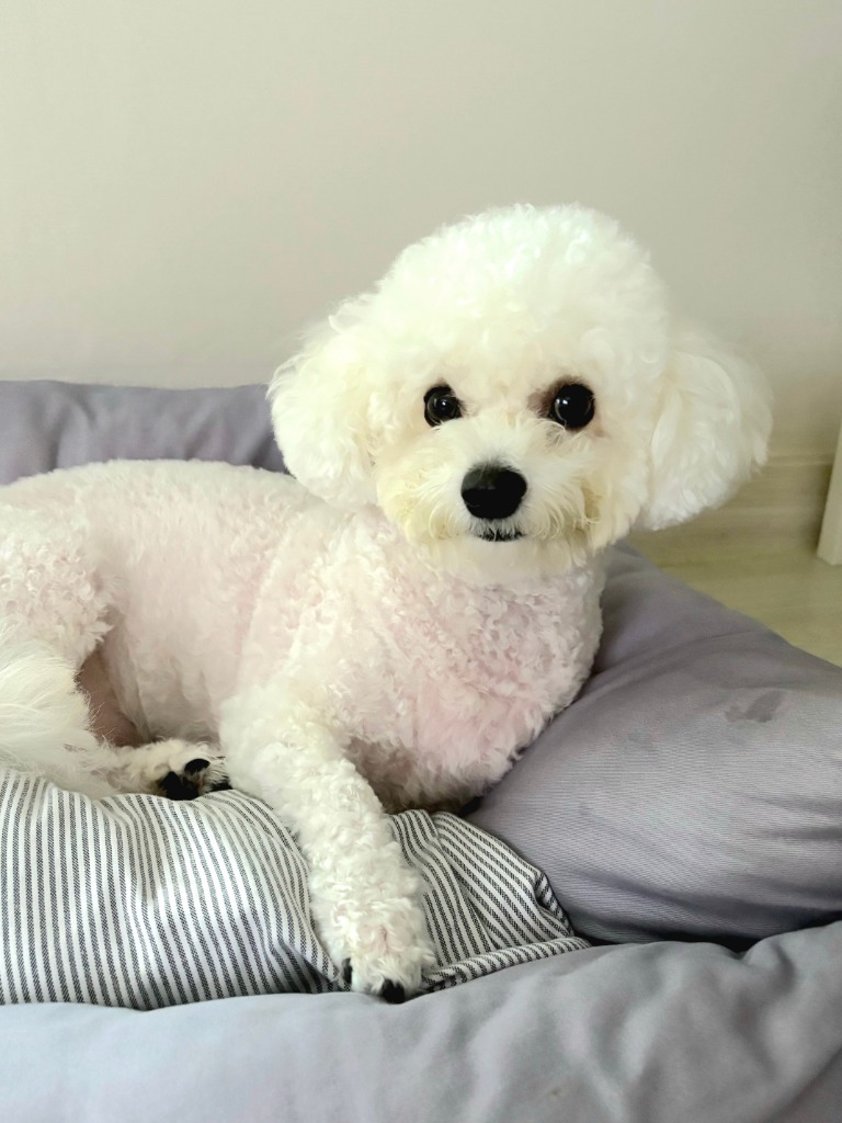 프로필 이미지