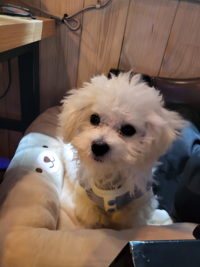 프로필 이미지