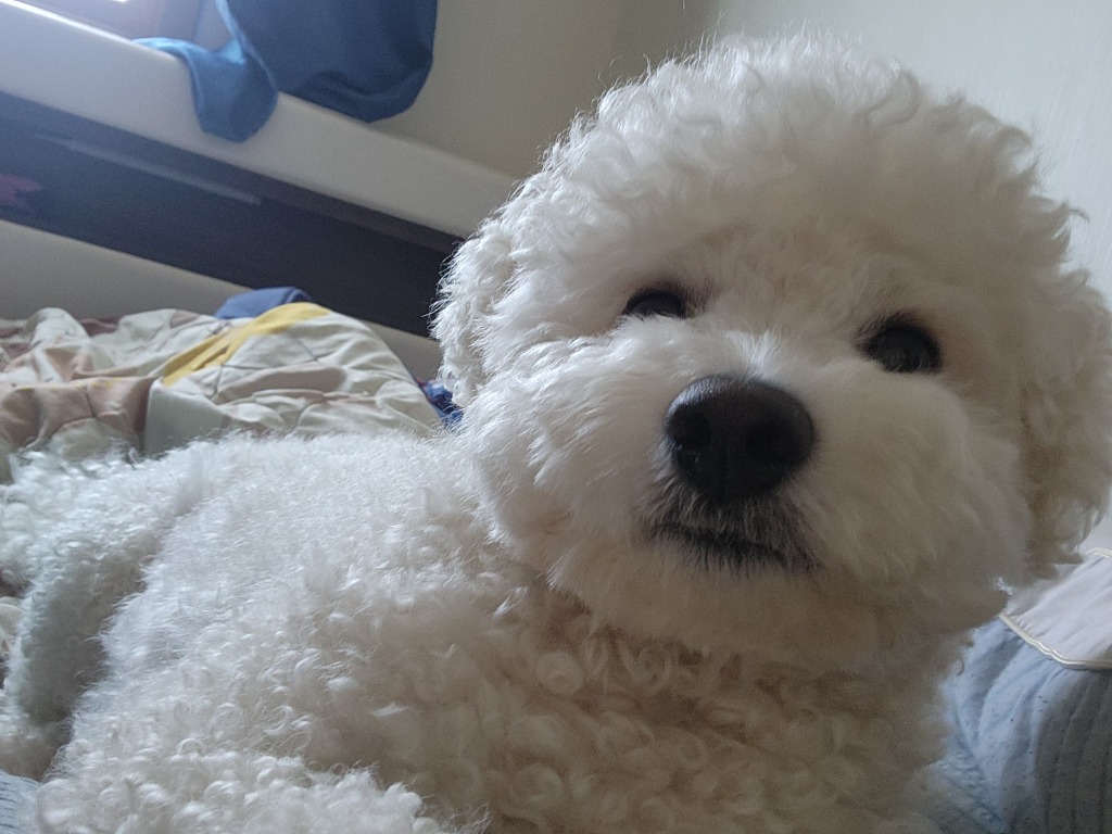프로필 이미지