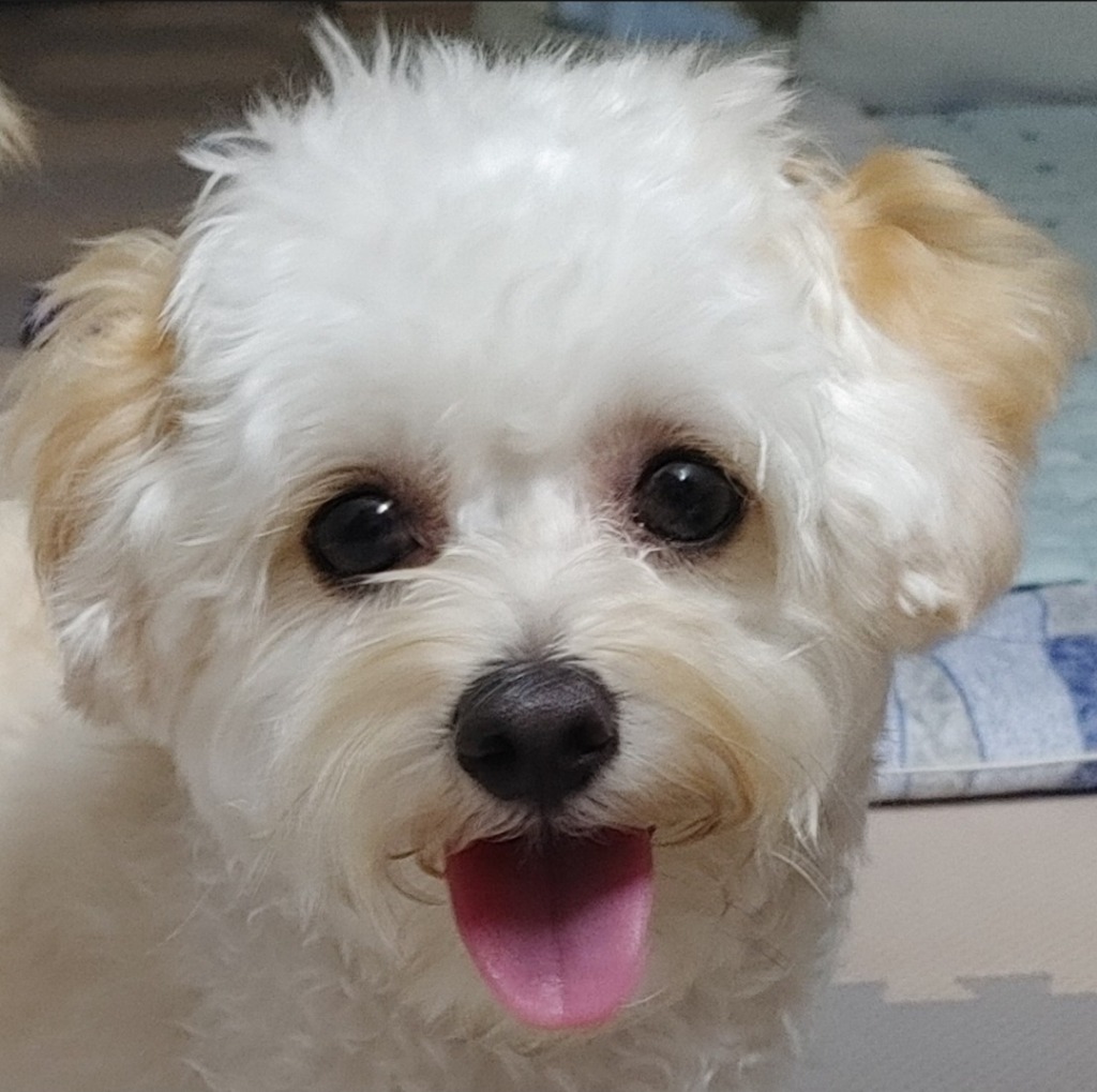 프로필 이미지
