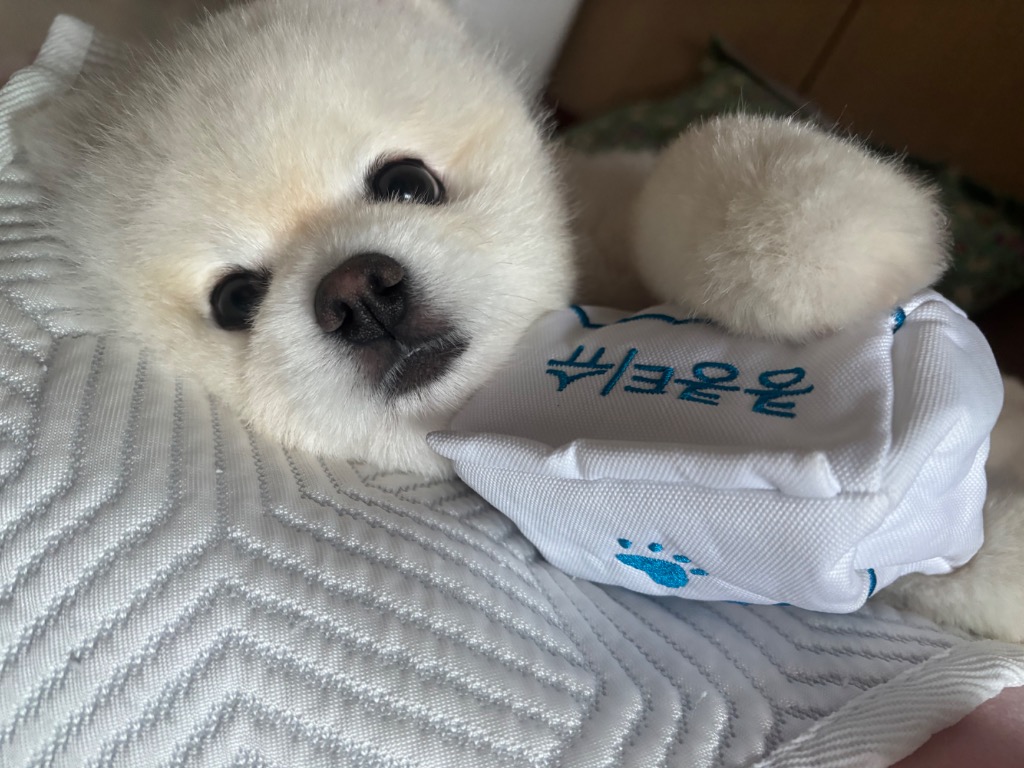 프로필 이미지