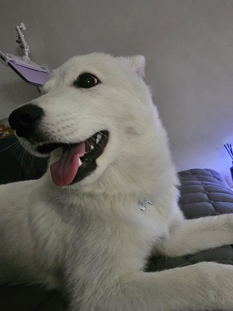 프로필 이미지