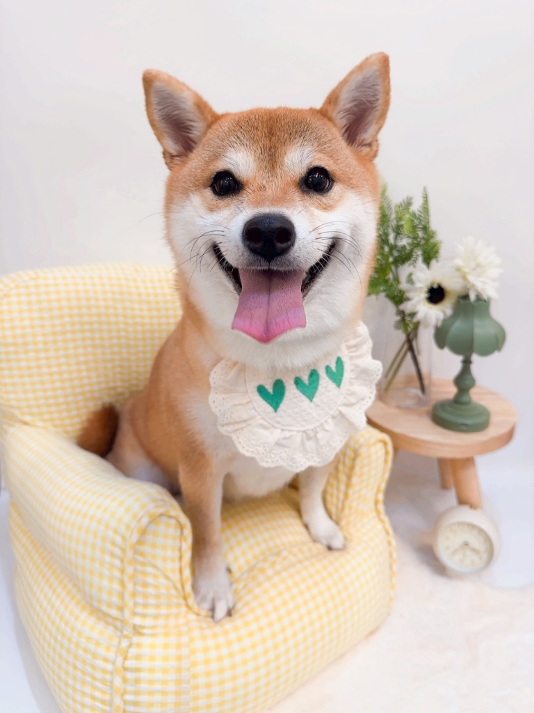 프로필 이미지