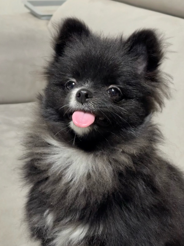 프로필 이미지