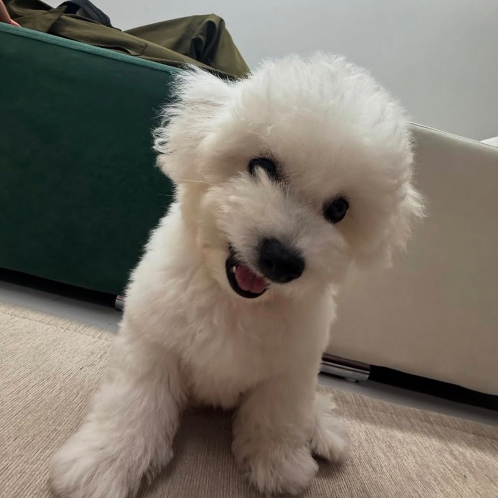 프로필 이미지