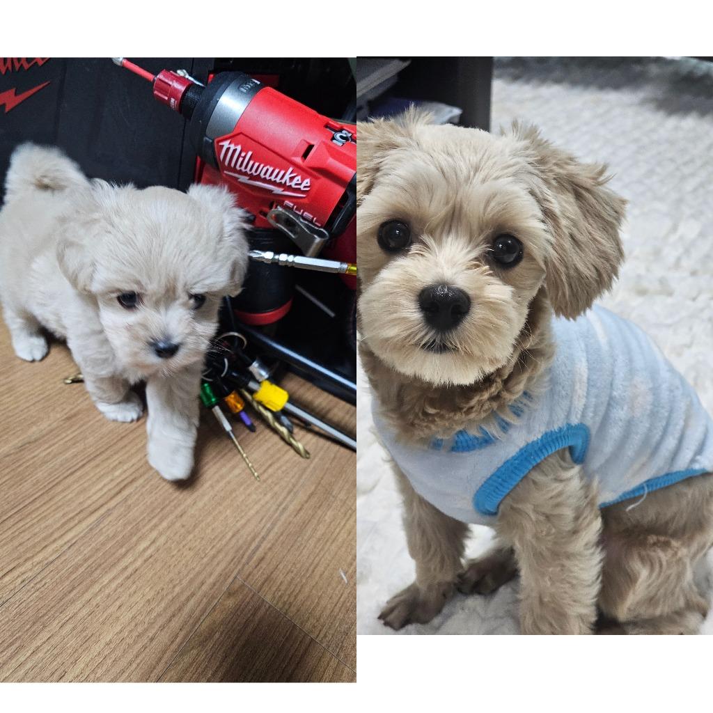 프로필 이미지