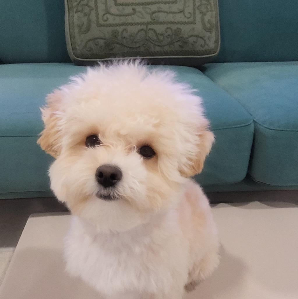 프로필 이미지