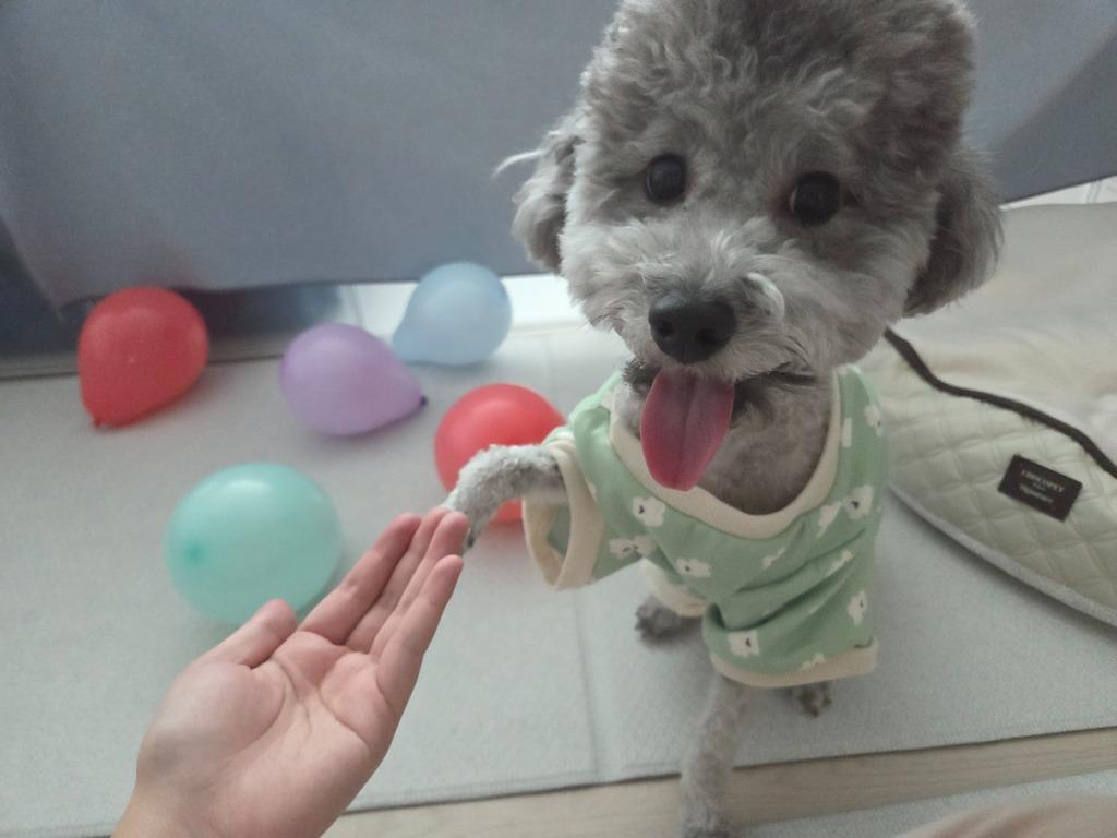 프로필 이미지