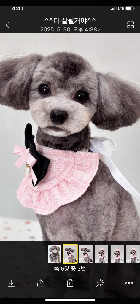 프로필 이미지