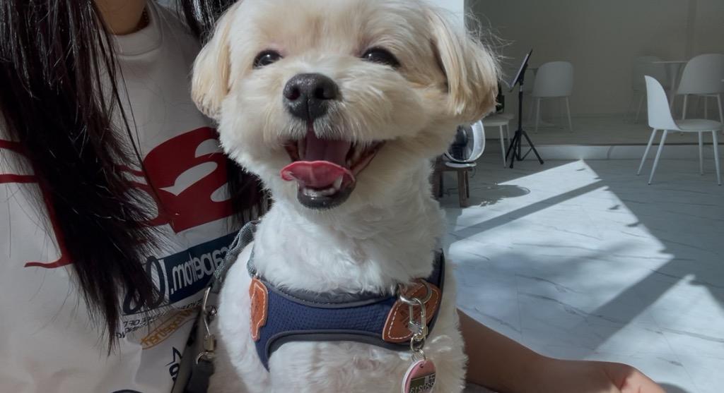 프로필 이미지