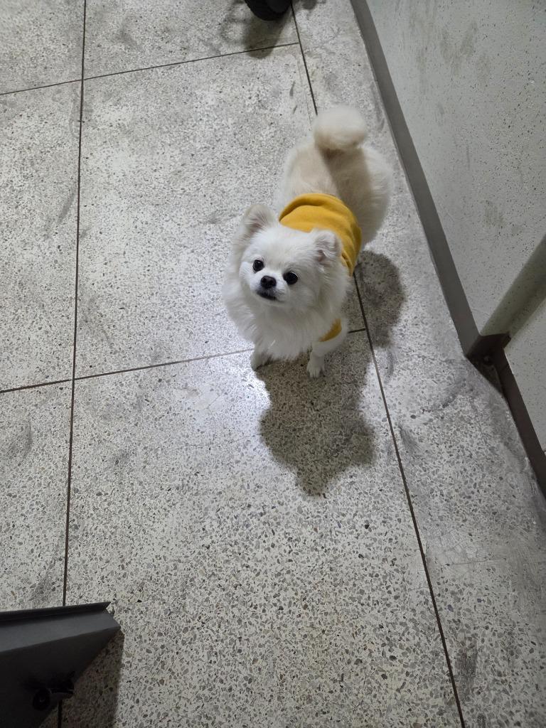 프로필 이미지