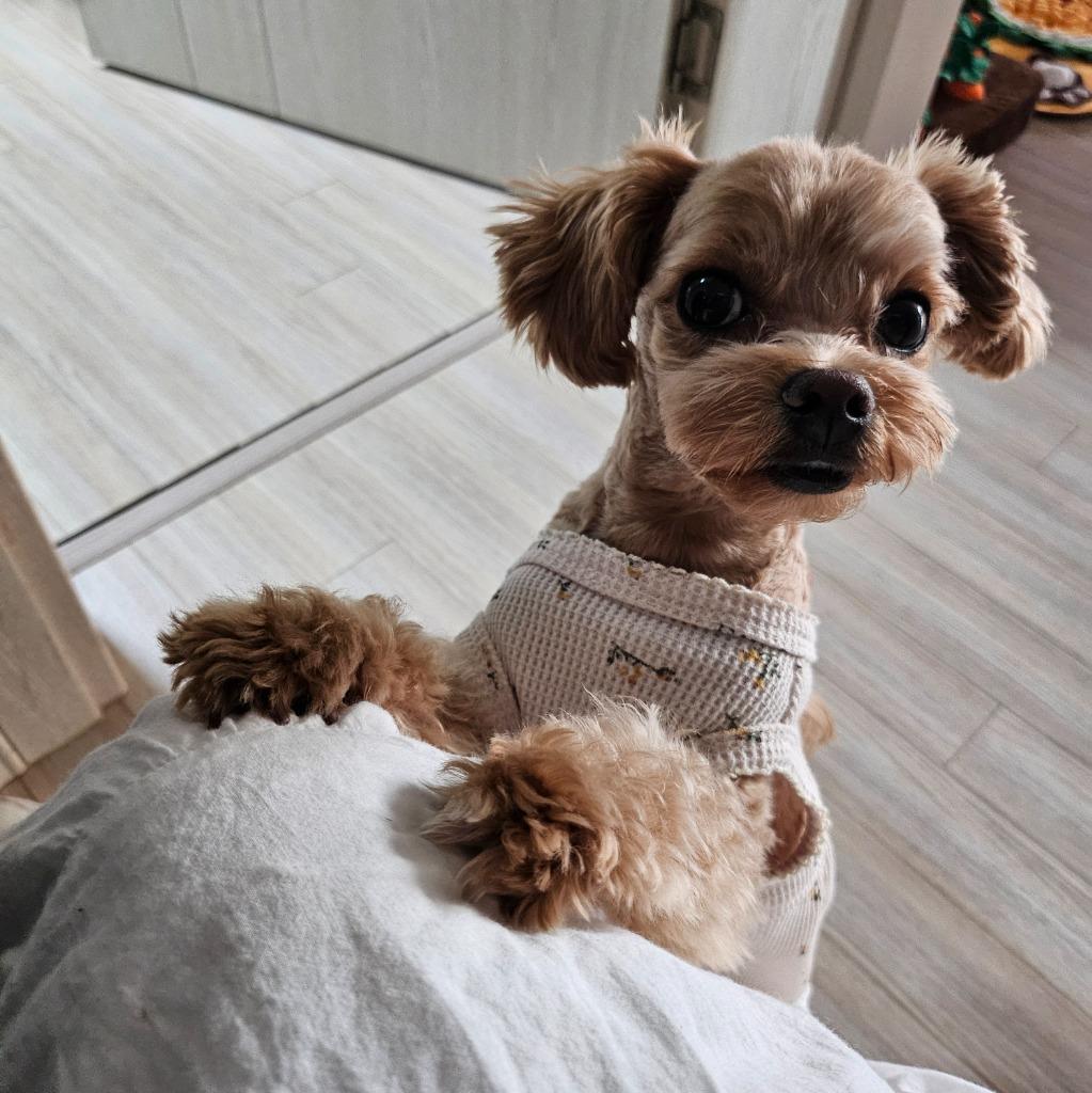 프로필 이미지