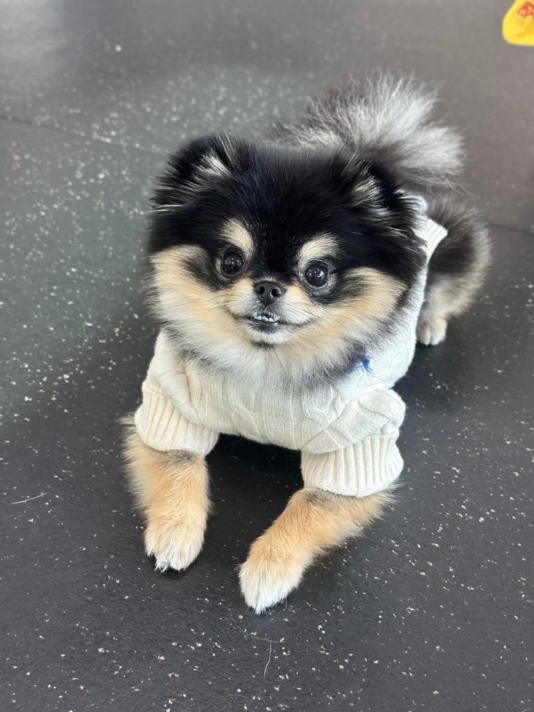 프로필 이미지