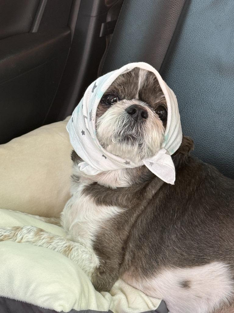 프로필 이미지