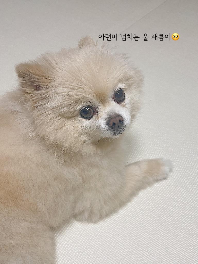프로필 이미지