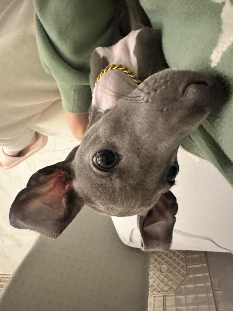 프로필 이미지