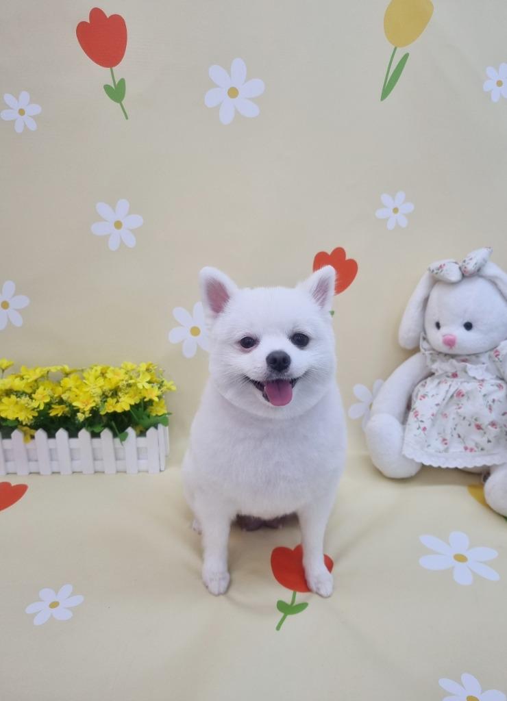 프로필 이미지