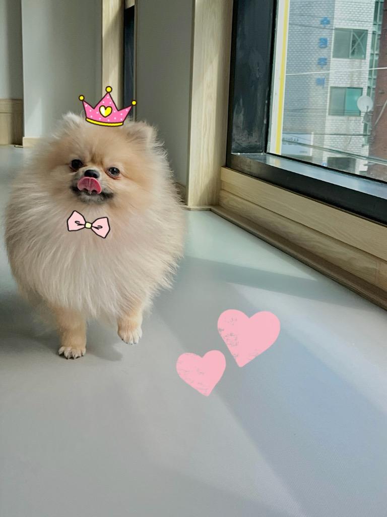 프로필 이미지