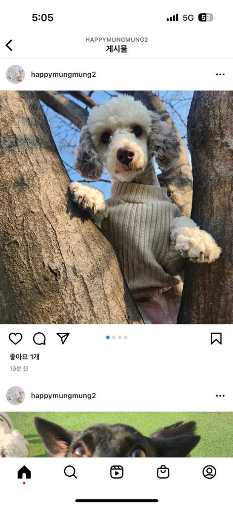 프로필 이미지